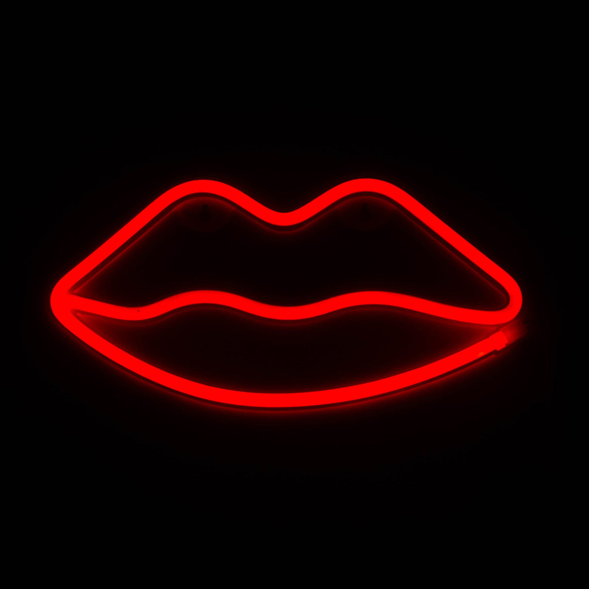 LED Neon Decoration Signs - Sexy Collections Flag · Sign JJ Distribution Lip (11" x 5")