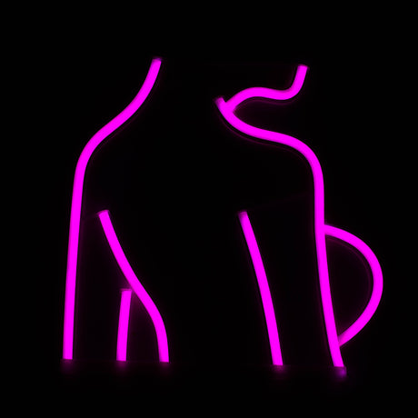 LED Neon Decoration Signs - Sexy Collections Flag · Sign JJ Distribution Lady Back (10" x 10")