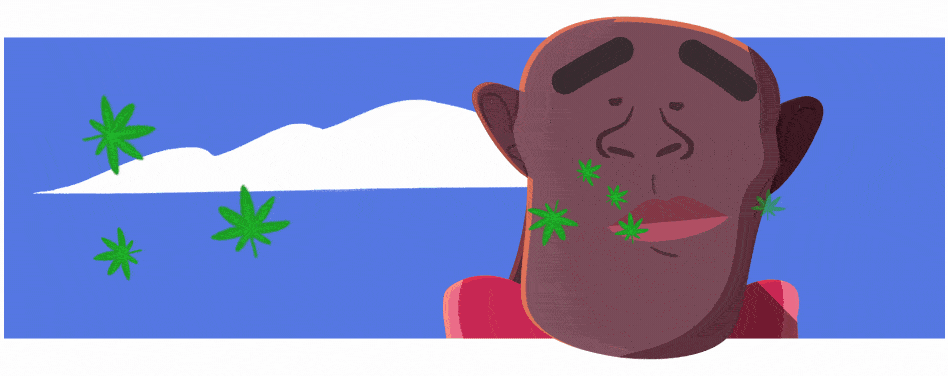 Skunk Doctor | Smoke Odor Eliminator Body Spray Display of 15 Odour Eliminator Spray Smoke & Vape Distributor