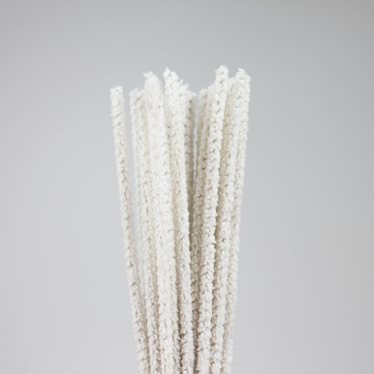 Randy's | 10" Soft pipe cleaners box of 30 Brush Smoking Cat Distribution