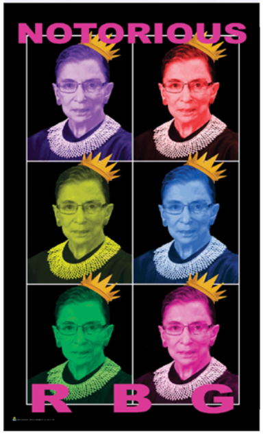 DIGITAL PRINTED 3' x 5' FLY FLAG Flag · Sign NIBO Distribution RBG POART