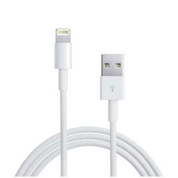 1m Lighting& Typce C phone Cable Bag of 20 Charging Cable · Accessory Super Supplys Inc Lighting to USB