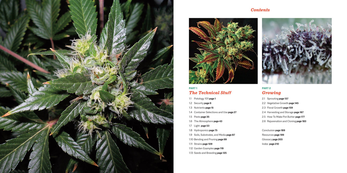 Marijuana 101 Book Green Candy Press
