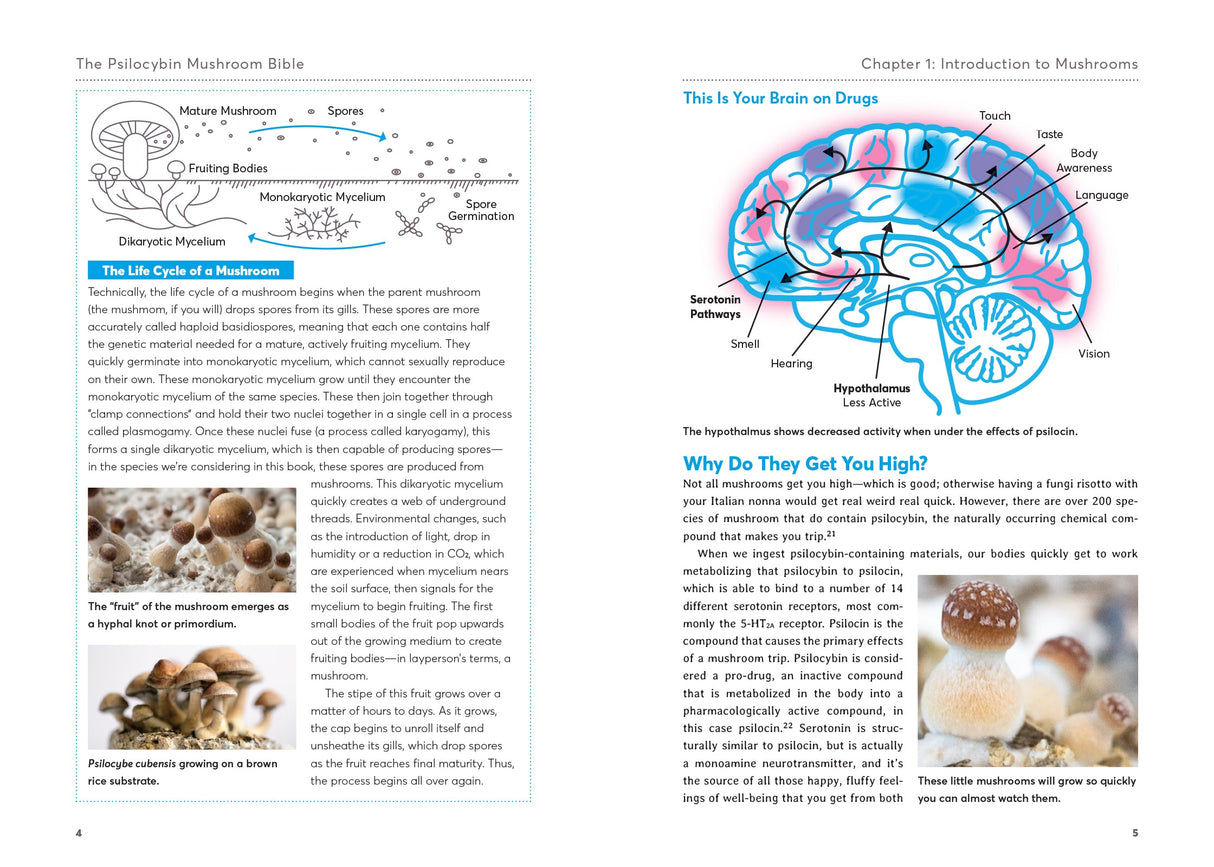 The Psilocybin Mushroom Bible Book Green Candy Press