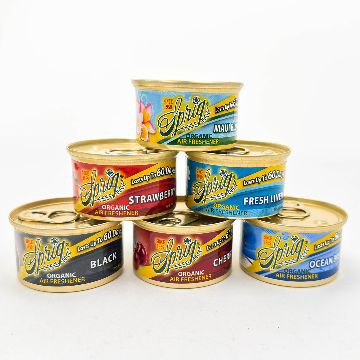 SPRING® | AIR FRESHENER GEL CAN – Box of 12 Air Freshener LEHIGH WHOLESALE