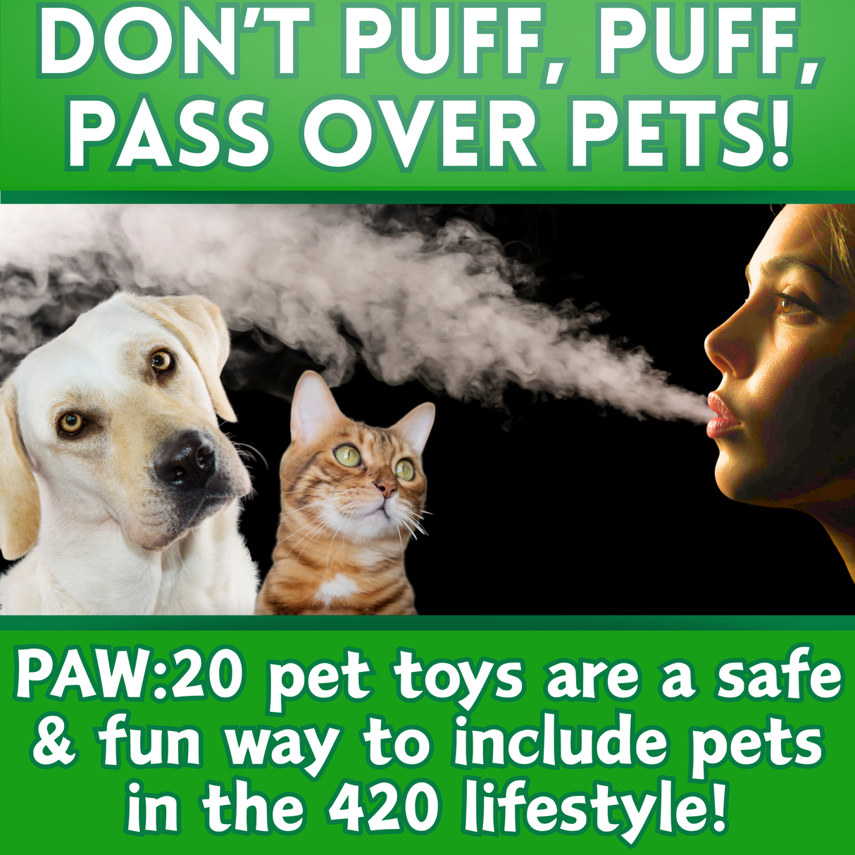 Bo da Bong - Parody Plush Rasta Color Squeaker Dog Toy - 9" For Pet PAW20