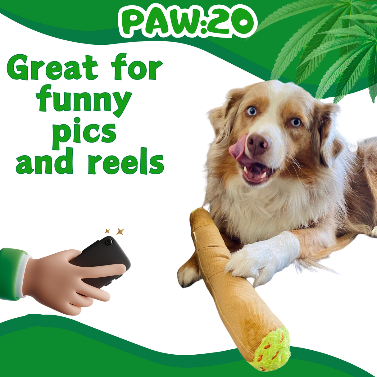 B the Blunt - Squeaky Parody Dog Toy - 10" For Pet PAW20