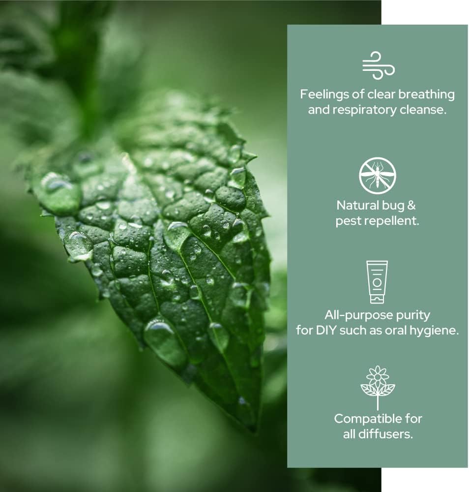 Plant of Life | Organic Essential Oil 1oz Skincare Neo Wholesale Co.