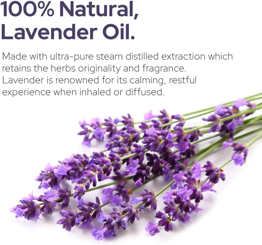 Plant of Life | Organic Essential Oil 1oz Skincare Neo Wholesale Co.