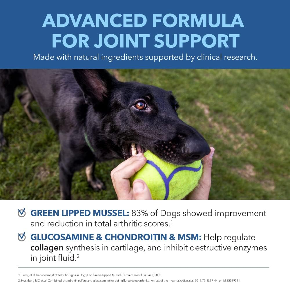 PetPal | Hip & Joint Mobility - soft Chews with Chondroitin & MSM For Pet Neo Wholesale Co.
