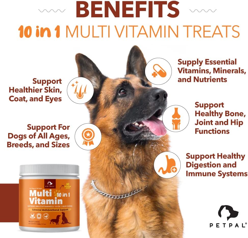 PetPal | Multi Vitamin Soft Chew Treats for Dogs For Pet Neo Wholesale Co.