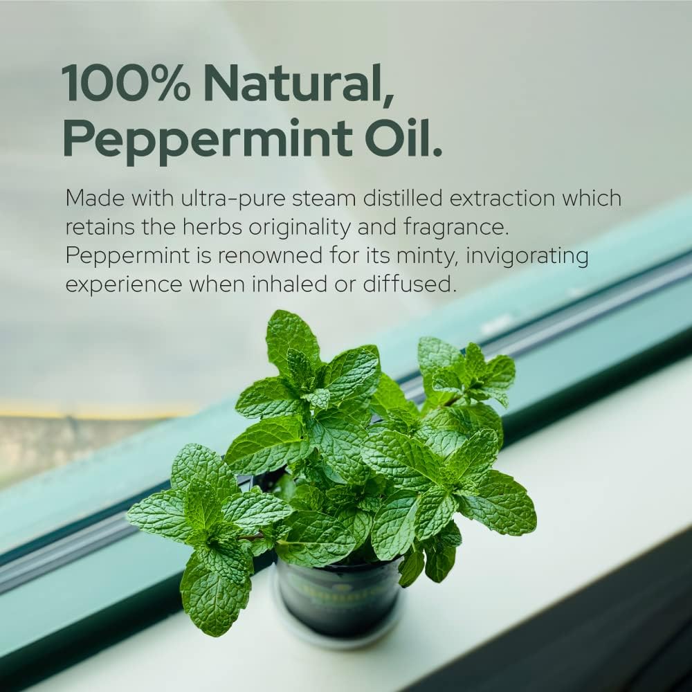 Plant of Life | Organic Essential Oil 1oz Skincare Neo Wholesale Co.
