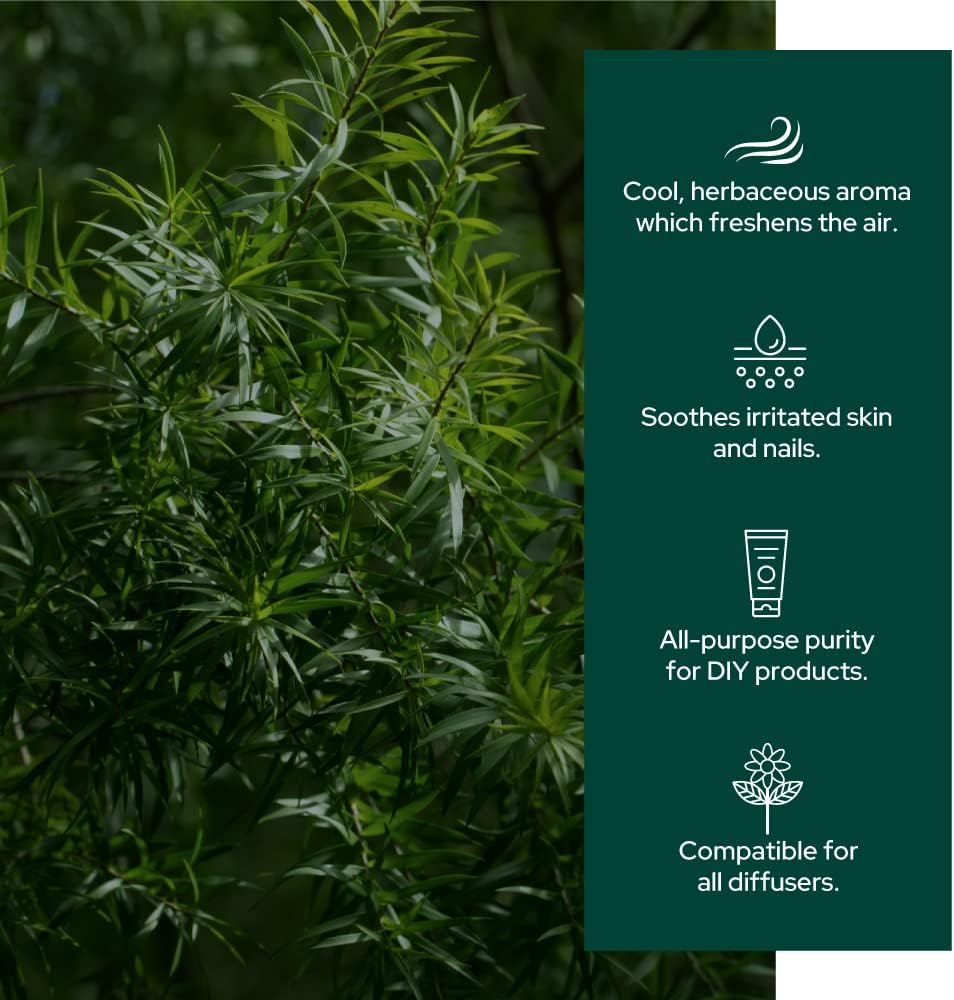 Plant of Life | Organic Essential Oil 1oz Skincare Neo Wholesale Co.