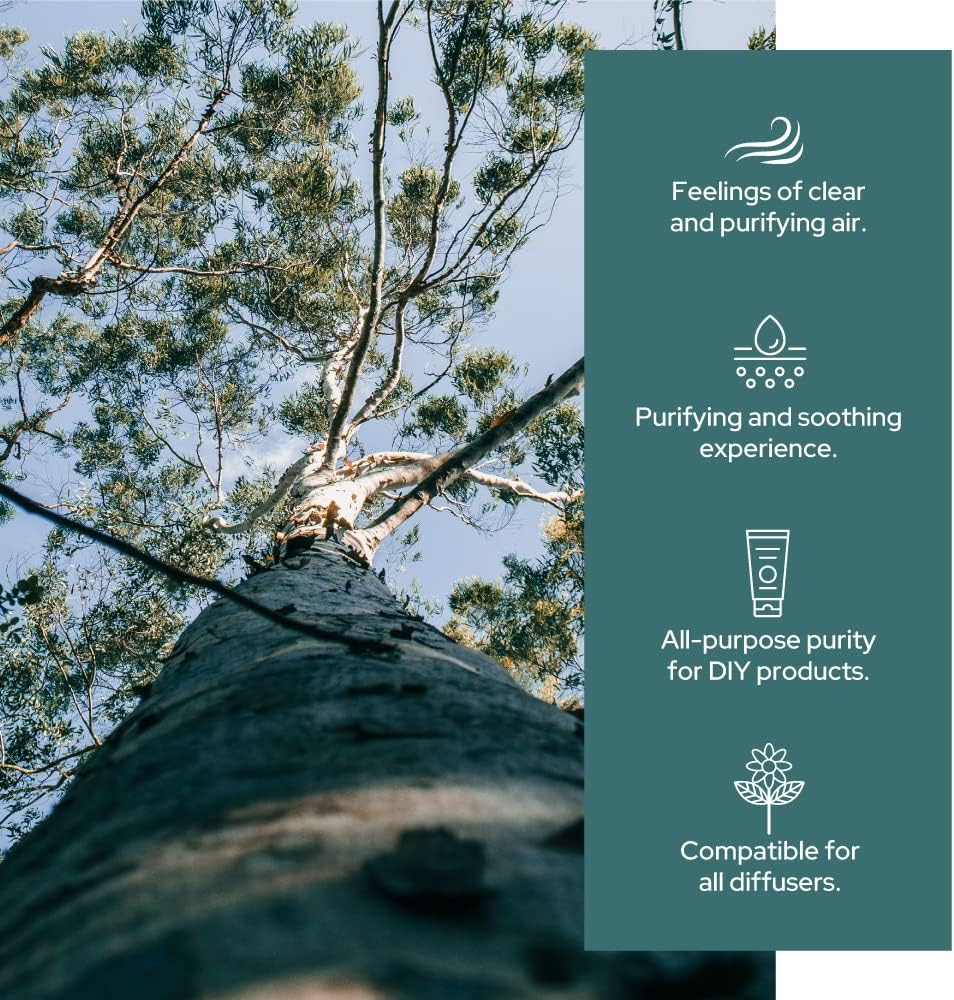 Plant of Life | Organic Essential Oil 1oz Skincare Neo Wholesale Co.