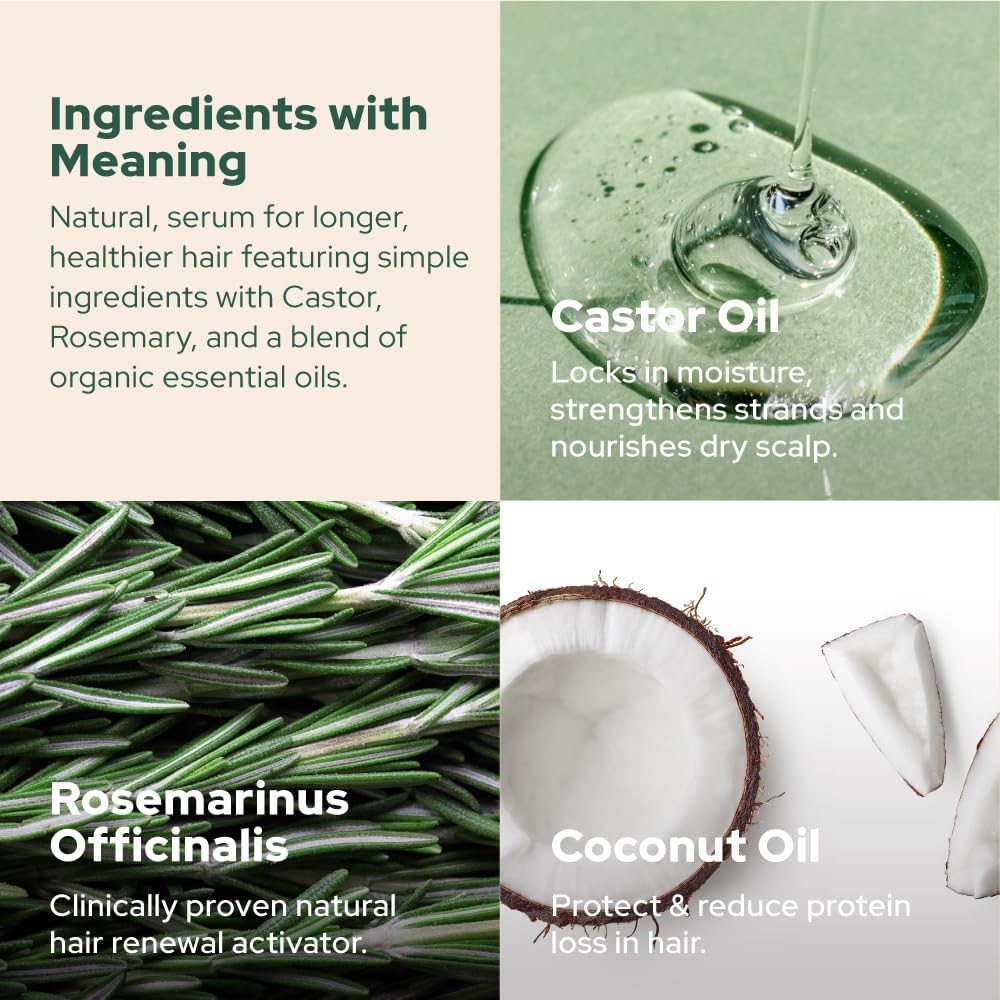 Plant of Life | Organic Rosemary & Castor 2 oz Skincare Neo Wholesale Co.