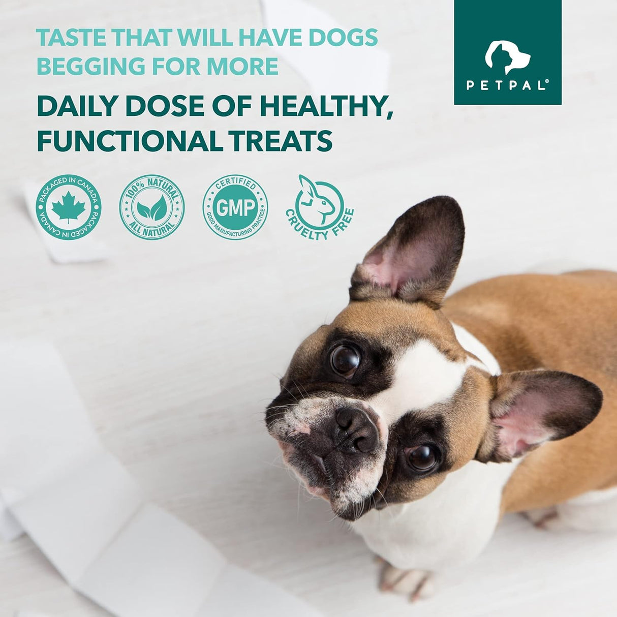 PetPal | Hemp Calming Treats for Dogs For Pet Neo Wholesale Co.