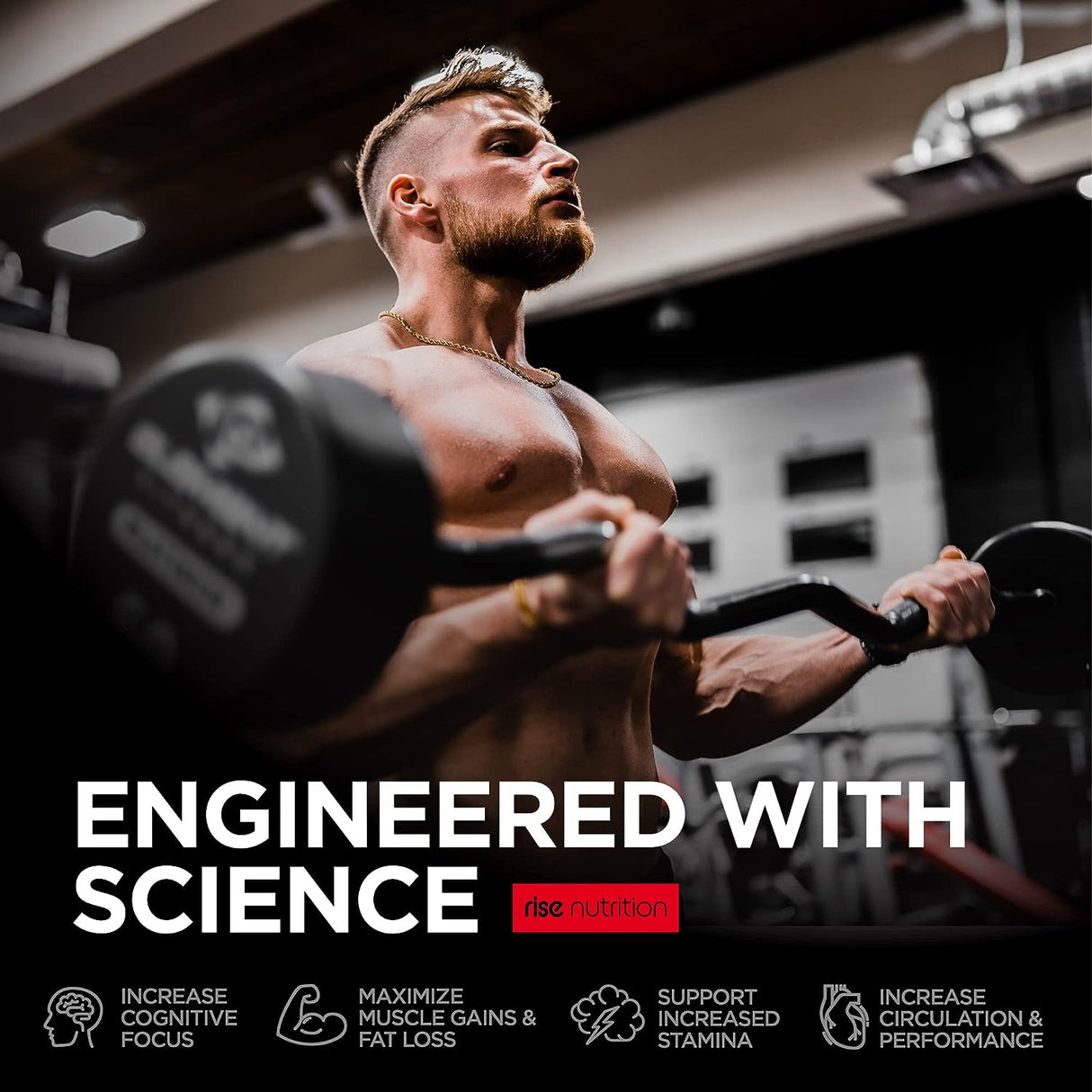 rise nutrition | Testosterone Booster with Maca & Tribulus Supplement Neo Wholesale Co.