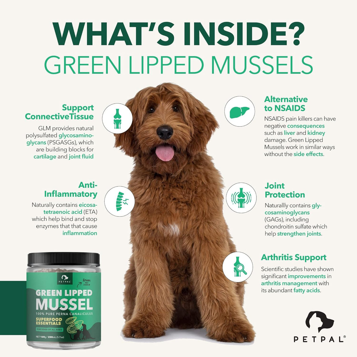 PetPal | New Zealand Green Mussel Powder for Dogs For Pet Neo Wholesale Co.