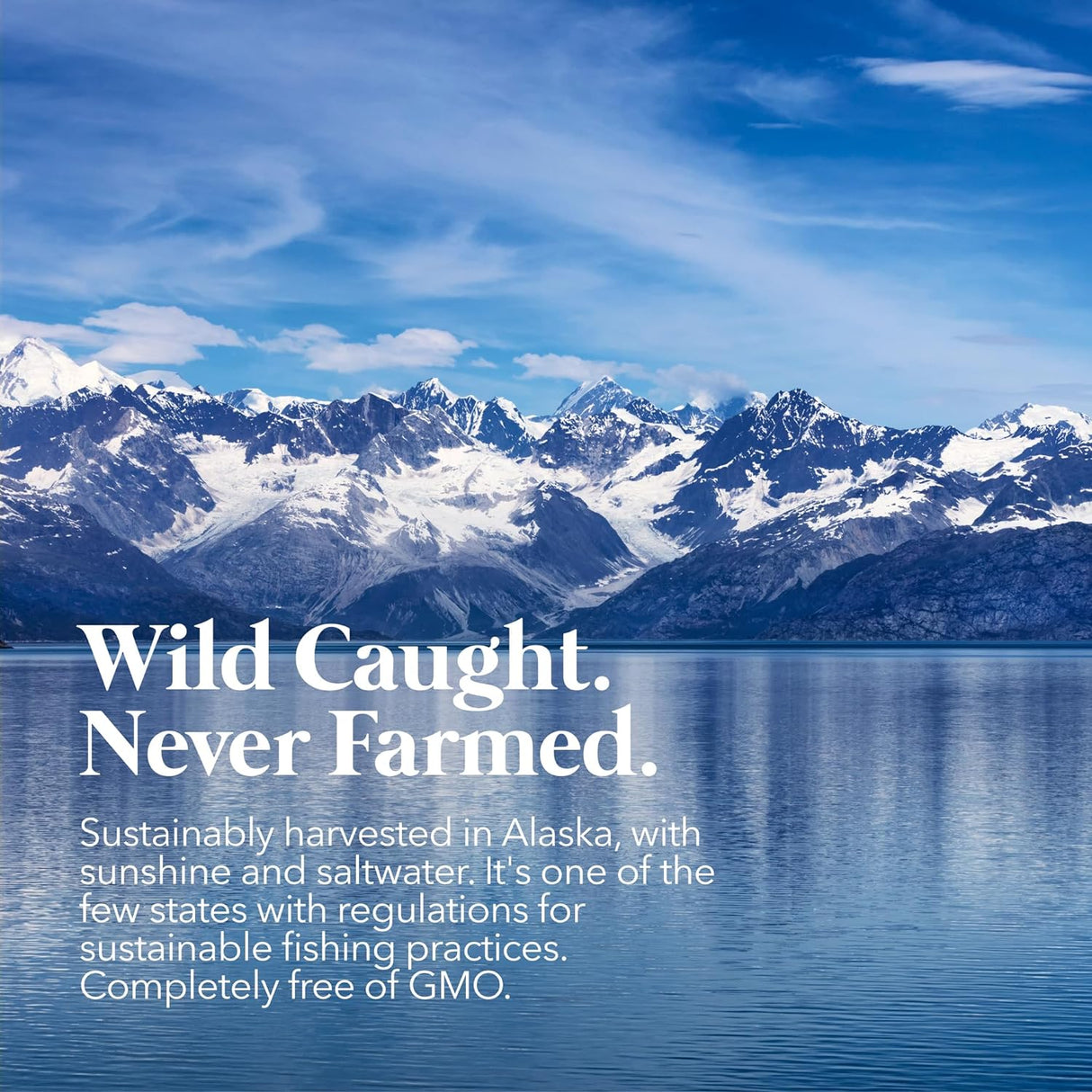 PetPal | Pure Wild Alaskan Salmon Oil for Dogs & Cats For Pet Neo Wholesale Co.