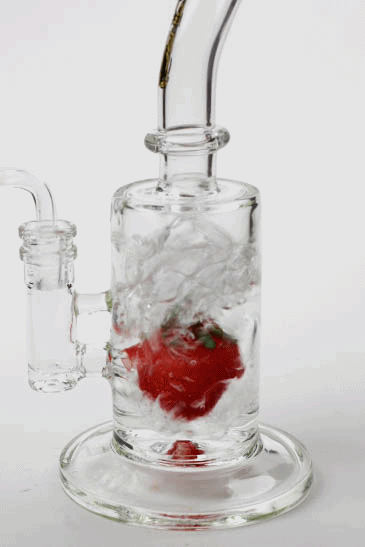 9" Genie Fruit dab Rig Rig ONE