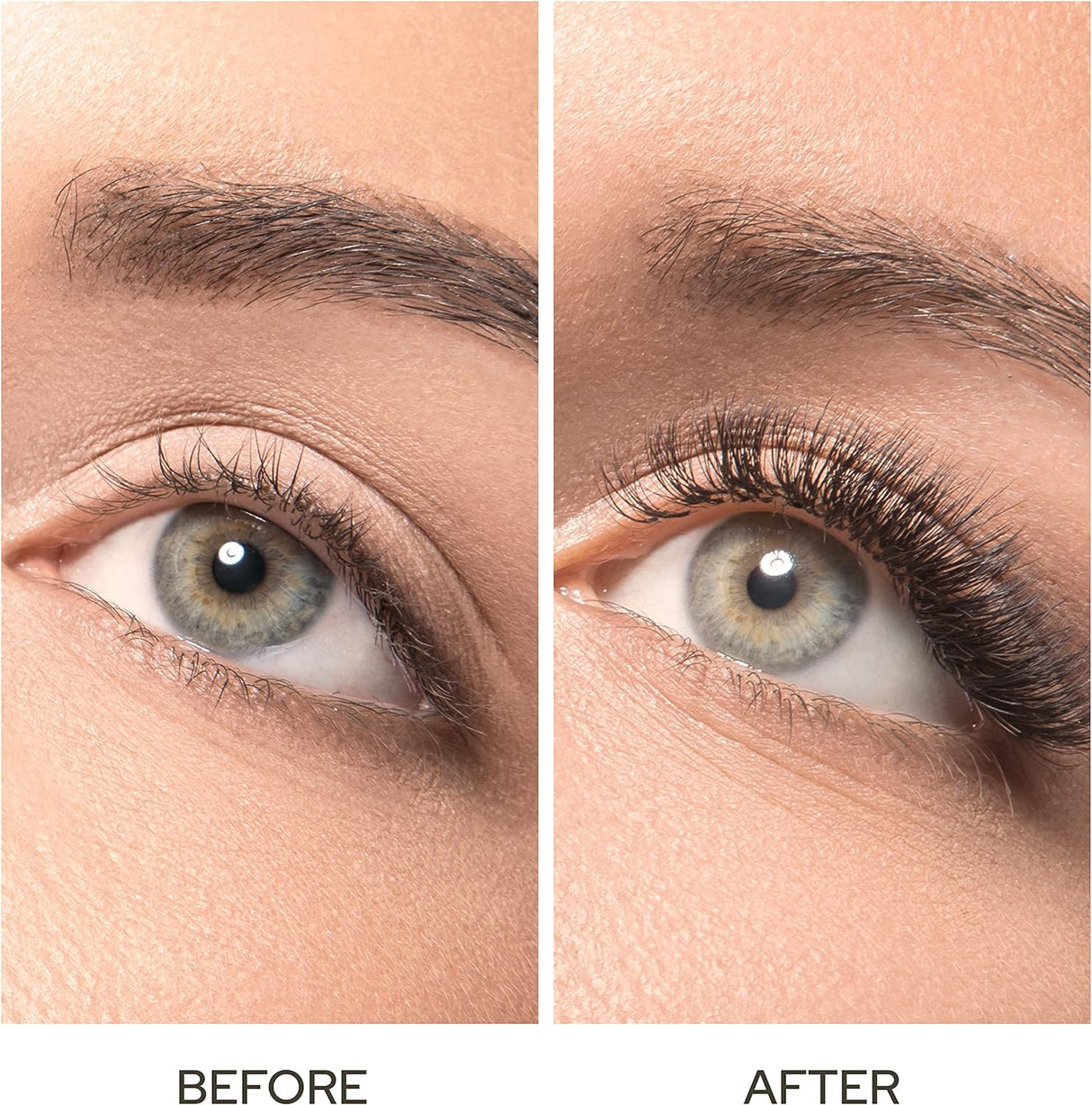 Plant of Life | Organic Castor Oil Skincare Neo Wholesale Co.