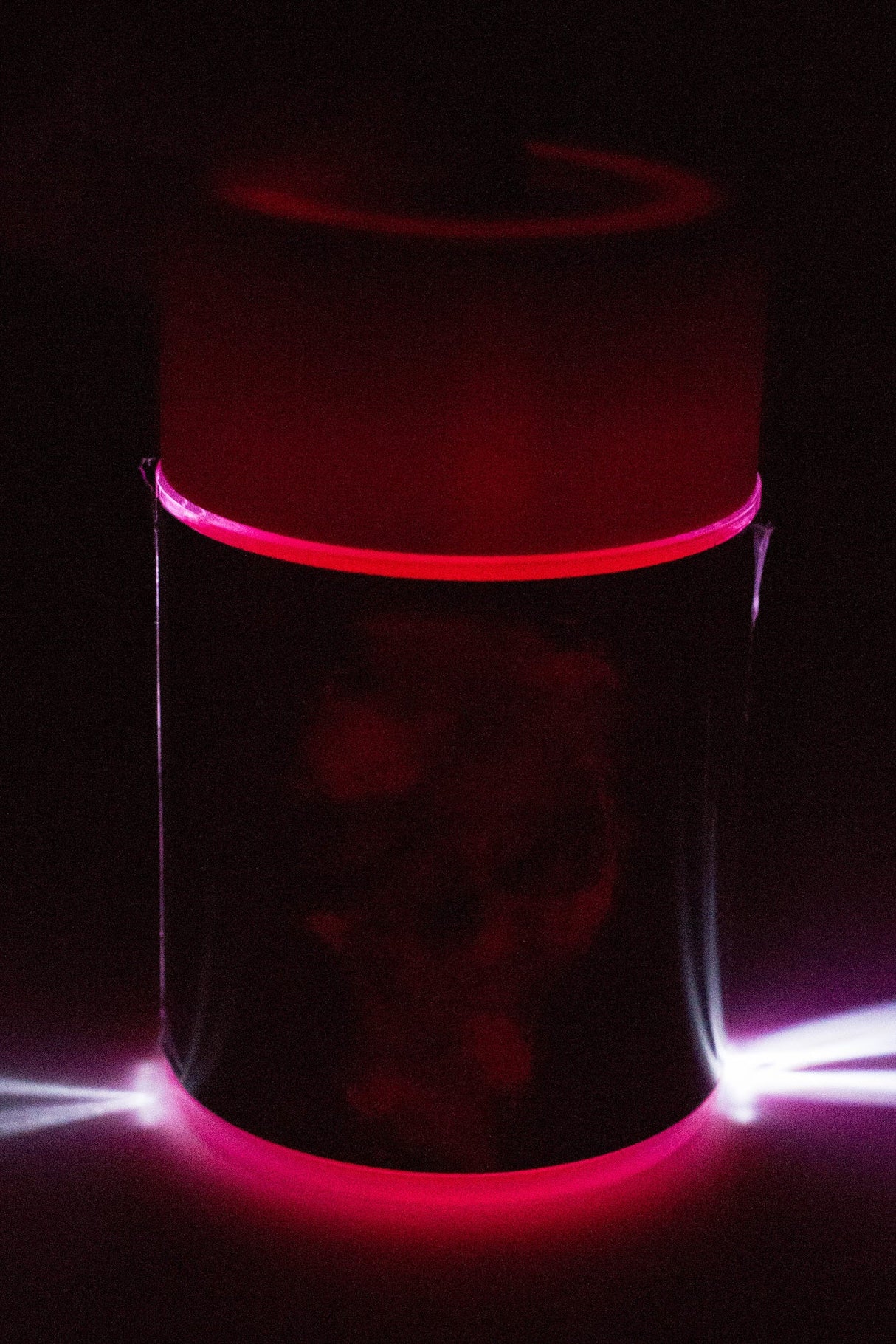 LED Stash Jars with Cartoon Designs Box of 6 Jar BANKA