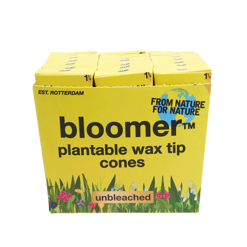 bloomer™ 1-1/4 paper cones - unbleached Box of 21 Pre-rolled Cone (Display Pack) bloomer