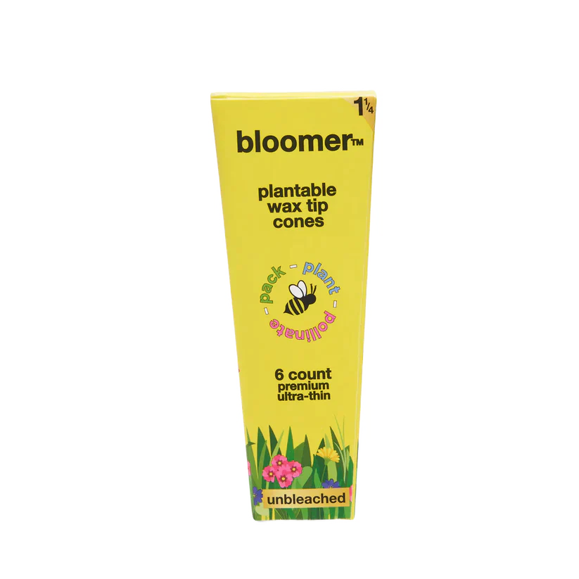 bloomer™ 1-1/4 paper cones - unbleached Box of 21 Pre-rolled Cone (Display Pack) bloomer