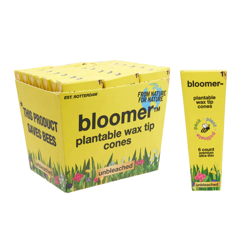 bloomer™ 1-1/4 paper cones - unbleached Box of 21 Pre-rolled Cone (Display Pack) bloomer