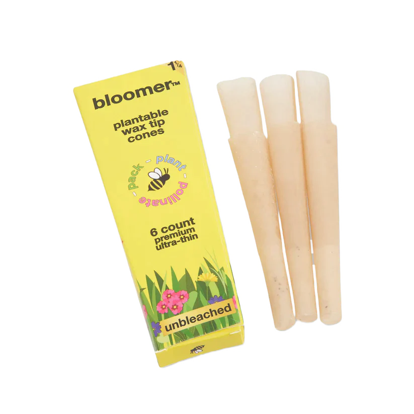 bloomer™ 1-1/4 paper cones - unbleached Box of 21 Pre-rolled Cone (Display Pack) bloomer