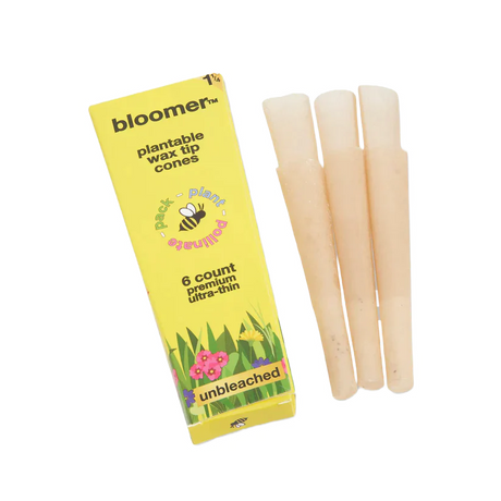 bloomer™ 1-1/4 paper cones - unbleached Box of 21 Pre-rolled Cone (Display Pack) bloomer