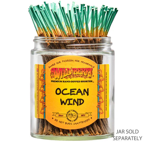 WILD BERRY | 4" Incense Shorties - 100ct Incense LEHIGH WHOLESALE OCEAN WIND