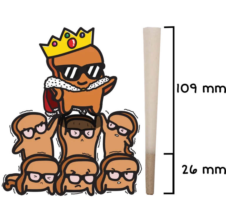 Choast Rolls | 3 Pack King Size Hemp Cones- 24 Packs Per Box | Made in France Pre-rolled Cone (Display Pack) Choast