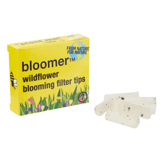 bloomer™ | plantable wax filter tips box of 12 Filter Tip bloomer