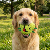 Bud the Weed Nug | 420 Dog Toy & Collectible Plush For Pet PAW20
