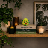 Bud Jr. the Weed Nug | 420 Cat Toy & Collectible Plush For Pet PAW20