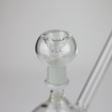 6" Starbud Rig