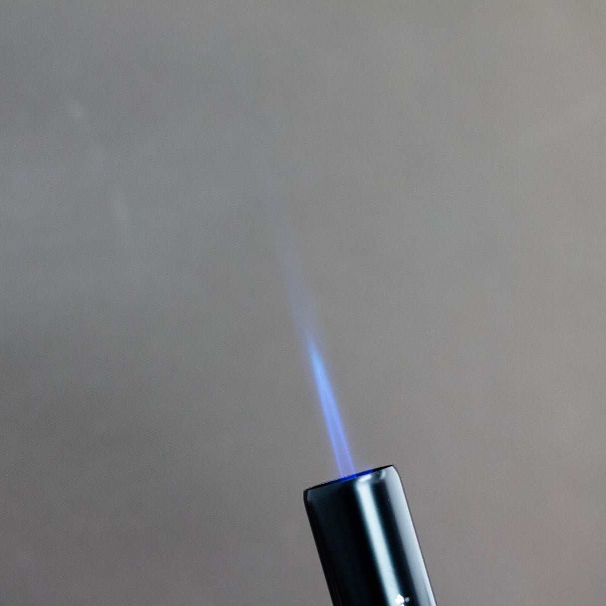 Scorch Torch | Pencil Torch 7”Asst Black/Graffiti & Leaf Designs [61664-1] - Display of 12 Torch Canadian Distributor
