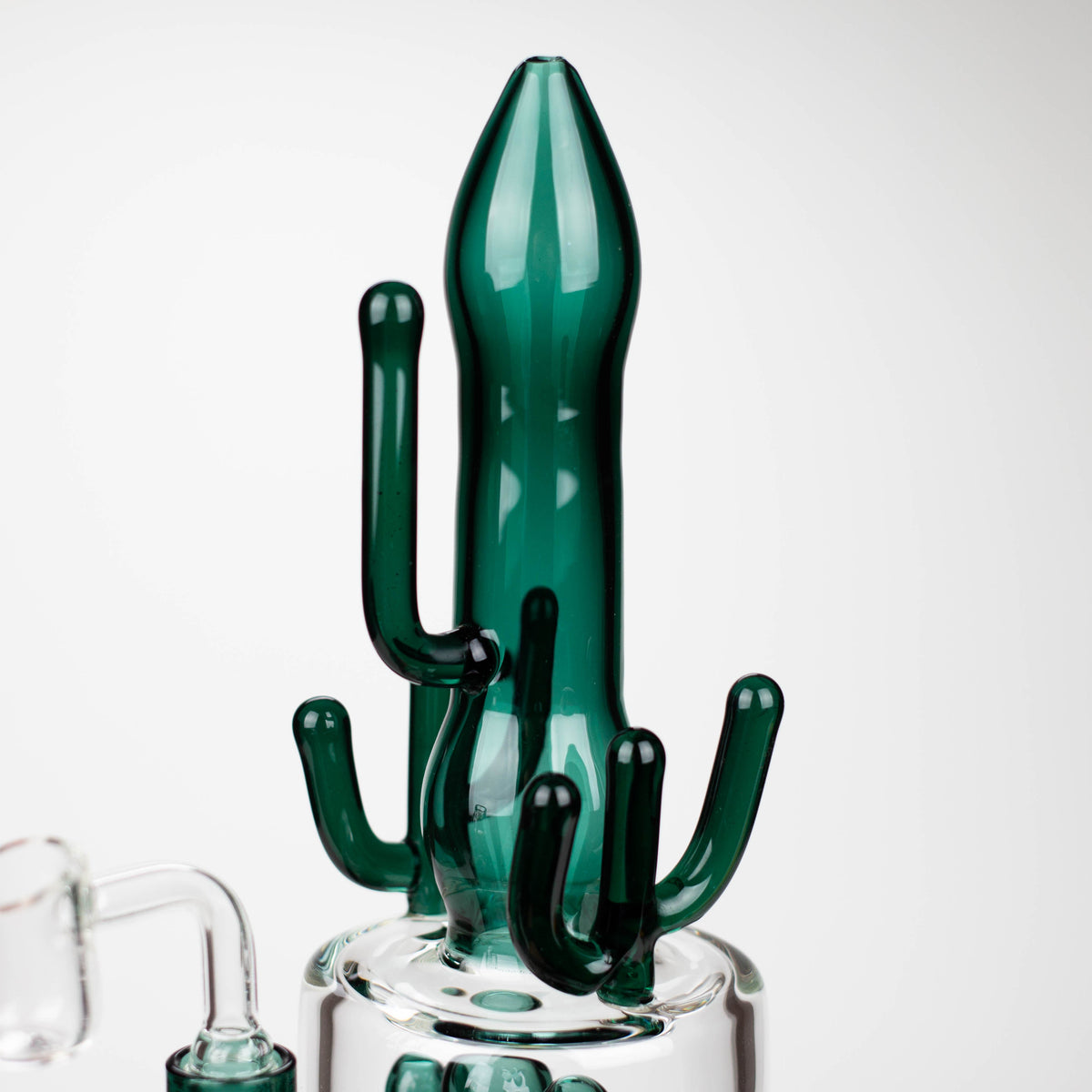 Cactus Rigs 11