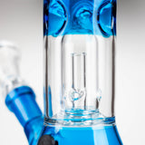 8" single dome Percolator glass water bong [GHWP-24]