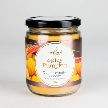Ampliscent | Candles Odor Eliminator – 13oz Candle Canadian Distributor Spicy Pumpkin