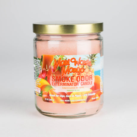 Smoke Odor | Candles Odor Eliminator 13oz Candle Smoking Cat Distribution