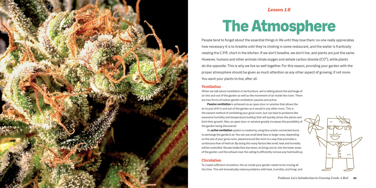 Marijuana 101 Book Green Candy Press