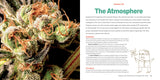 Marijuana 101 Book Green Candy Press