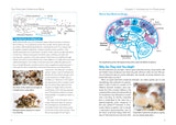 The Psilocybin Mushroom Bible Book Green Candy Press