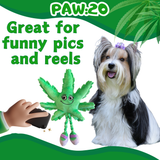 Mary Jane the Marijuana Leaf - Squeaky Dog Toy & Shelf-Sitter Plushie - 13" For Pet PAW20