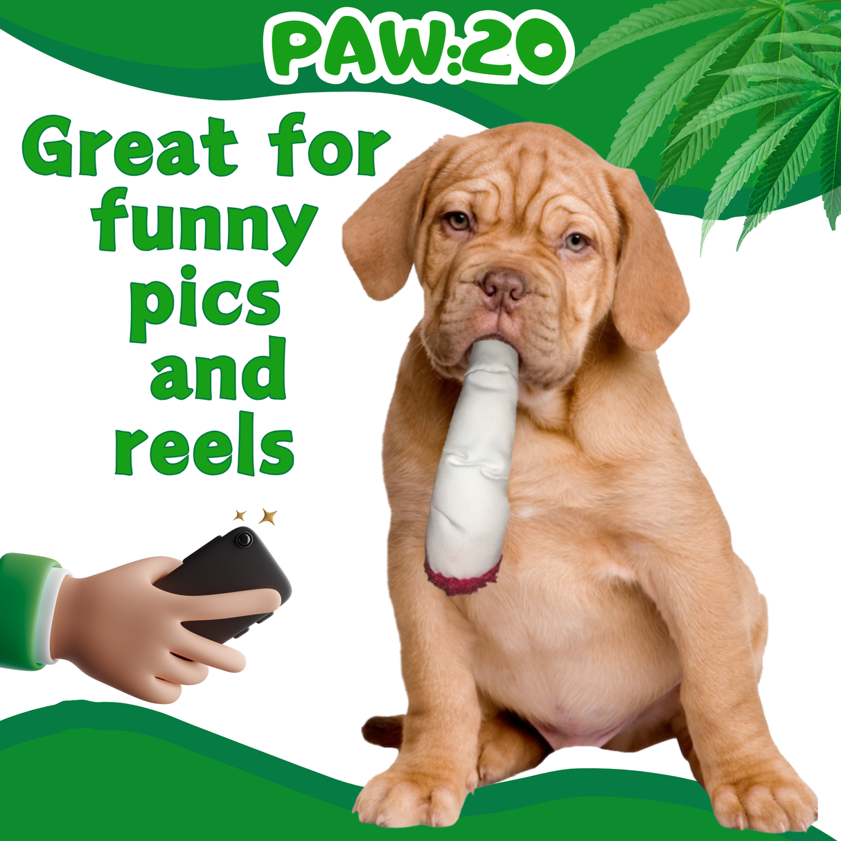 Jay the Joint - Parody Squeaky Dog Toy - 7" For Pet PAW20