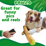 B the Blunt - Squeaky Parody Dog Toy - 10" For Pet PAW20