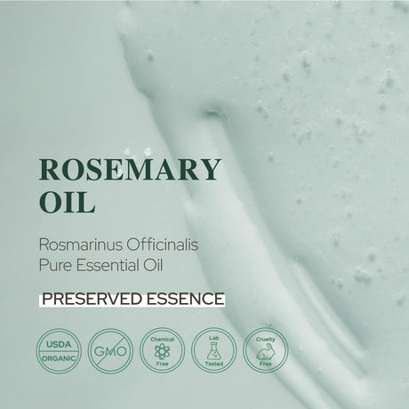 Plant of Life | Rosemary Essential Oil for Aromatherapy Hair, Skin, & Nails (1 oz / 30mL)