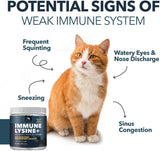 PetPal | L-Lysine Immune and Respiratory Support Supplement for Cats